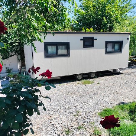 Baykus Guesthouse-Konukevi Söke Dış mekan fotoğraf