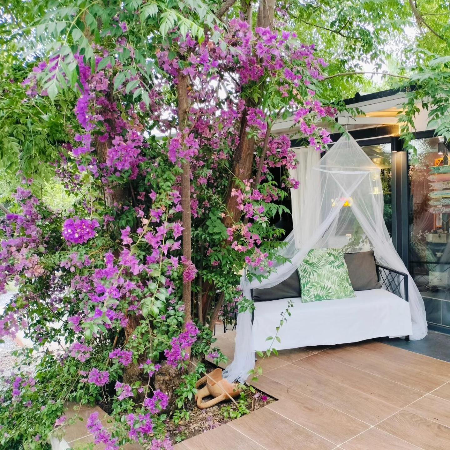 Baykus Guesthouse-Konukevi Söke Dış mekan fotoğraf
